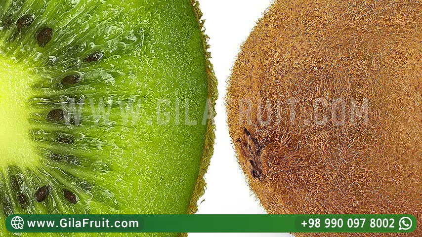 شراء الکیوي
