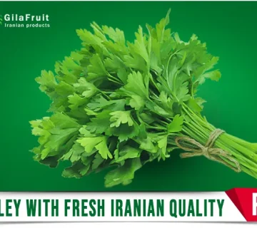 Iranian parsley, Iranian parsley supplier, export Iranian parsley, buy Iranian parsley, price of Iranian parsley