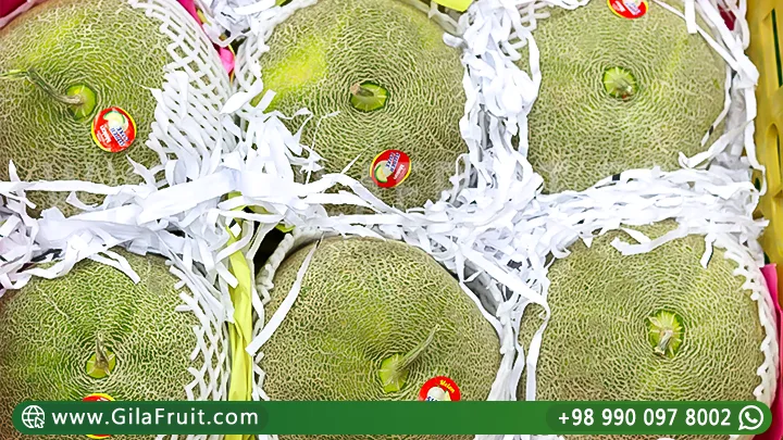 Iranian Export Melons
