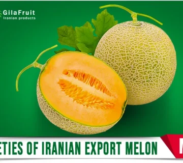 Iranian Export Melons Fruit Export Fresh Produce Long Distance Shipping