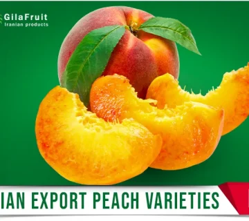 Iranian Peach Fruit Export Cold Chain Logistics Peaches for Export