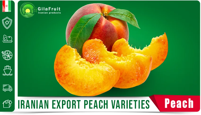 Iranian Peach Fruit Export Cold Chain Logistics Peaches for Export