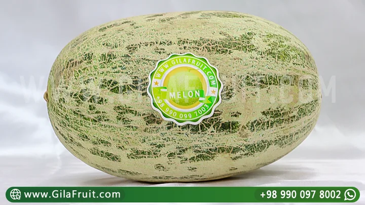Iranian Export Melons Fruit Export Fresh Produce Long-Distance Shipping