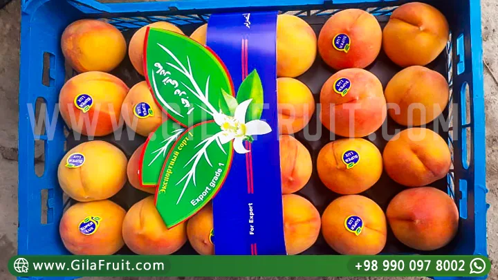 Iranian Peach