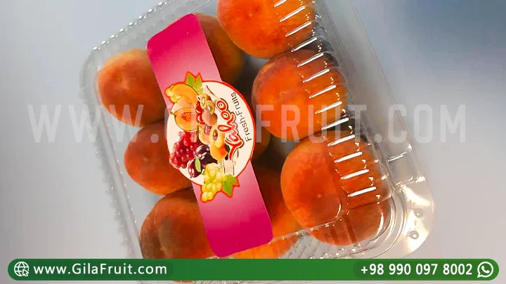 Iranian Peach