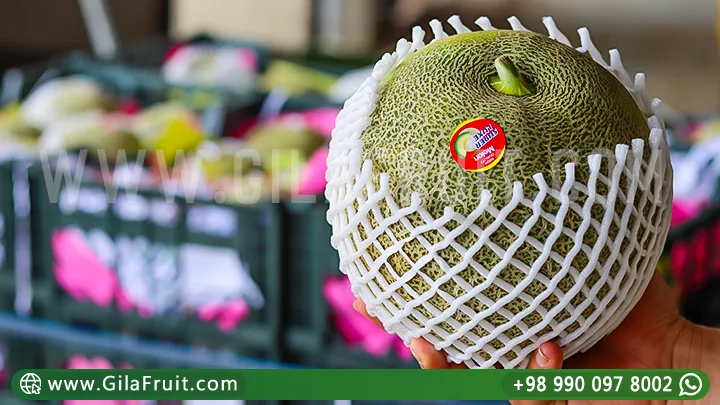 Iranian Export Melons