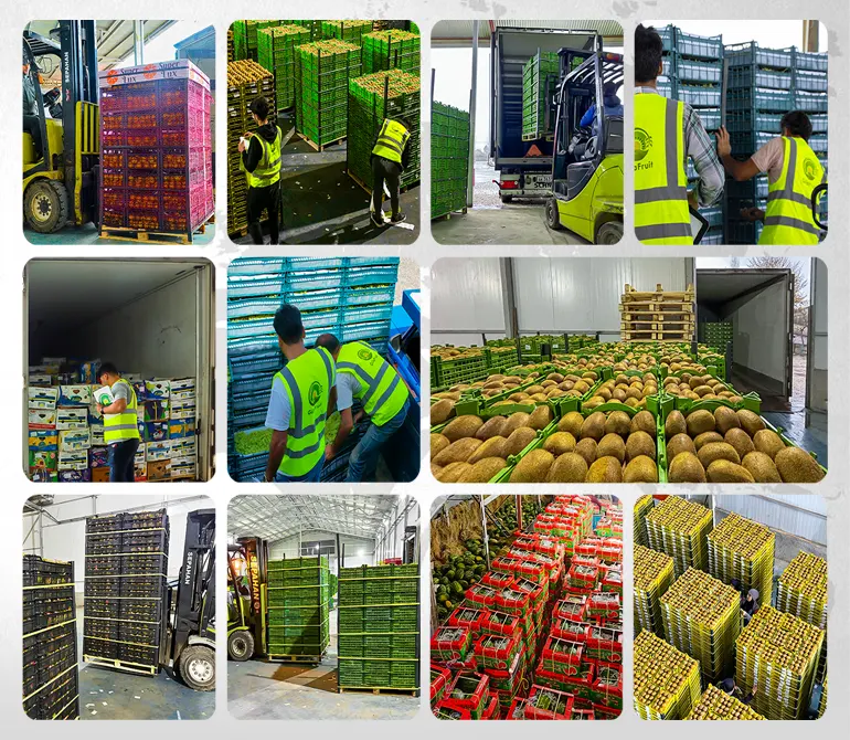 Ensuring Quality and Safety in Logistics Services with Internationally Recognized Certifications
