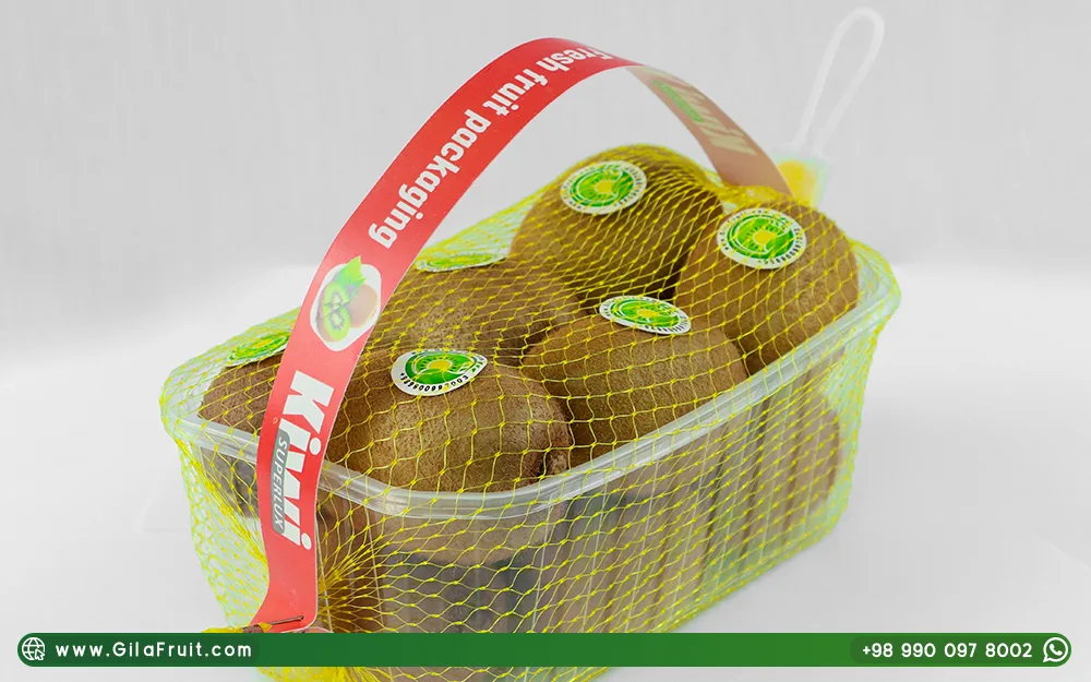 Bulk Purchase of Iranian Kiwi with GilaFruit brand, showing competitive Export Price of Kiwi to Russia