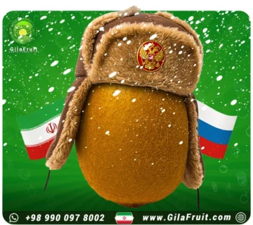 Buying and Importing iranian Kiwi to Russia