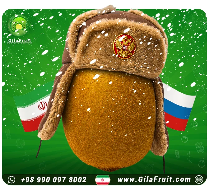 صادرات کیوی ایرانی به روسیه